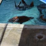 TourdSoCal_1_0039 (September 11, 2015)